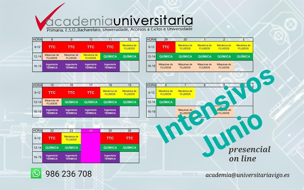 Cursos Intensivos de junio/julio 