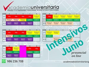 Cursos intensivos en xuño/xullo
