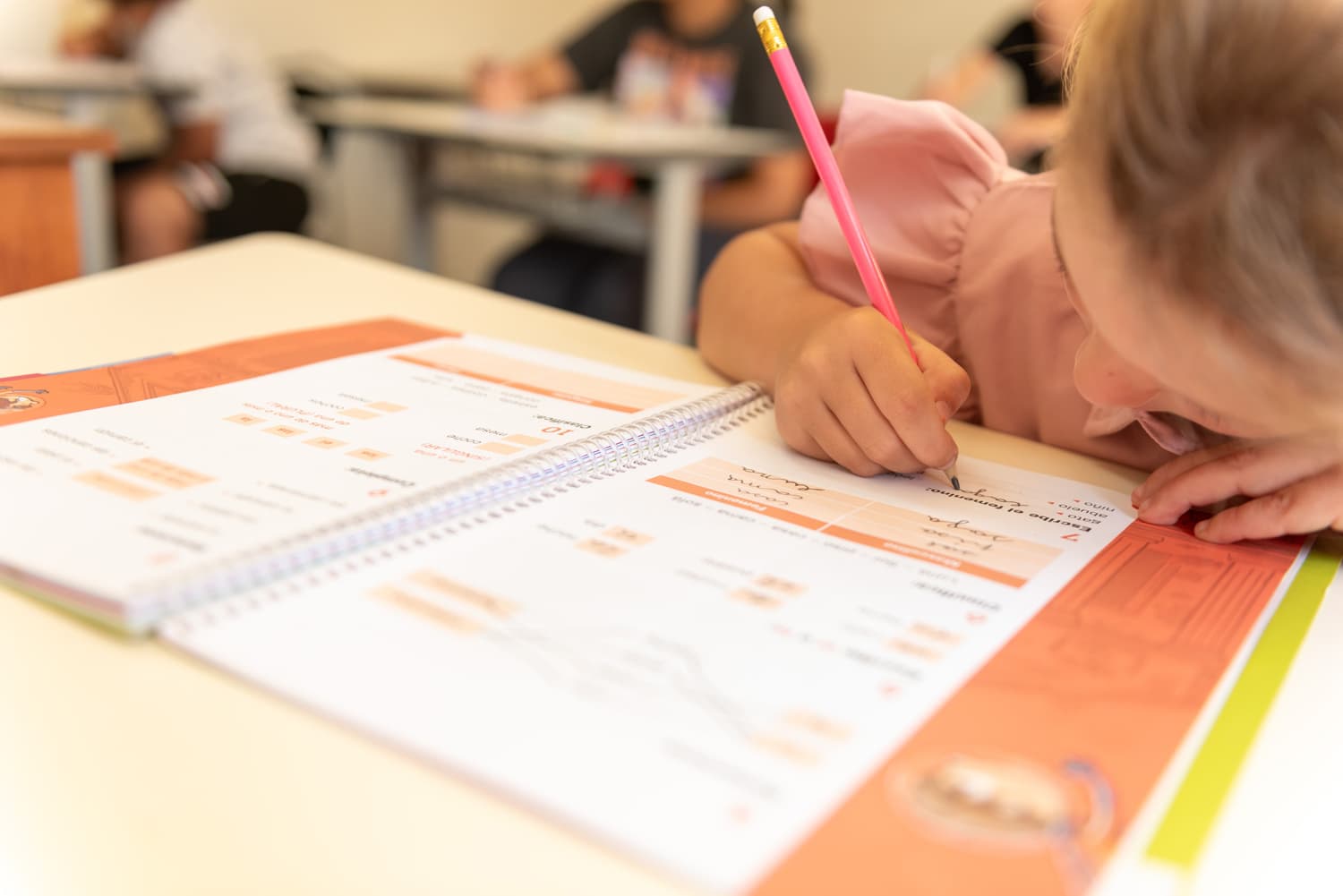 Clases particulares primaria en Vigo