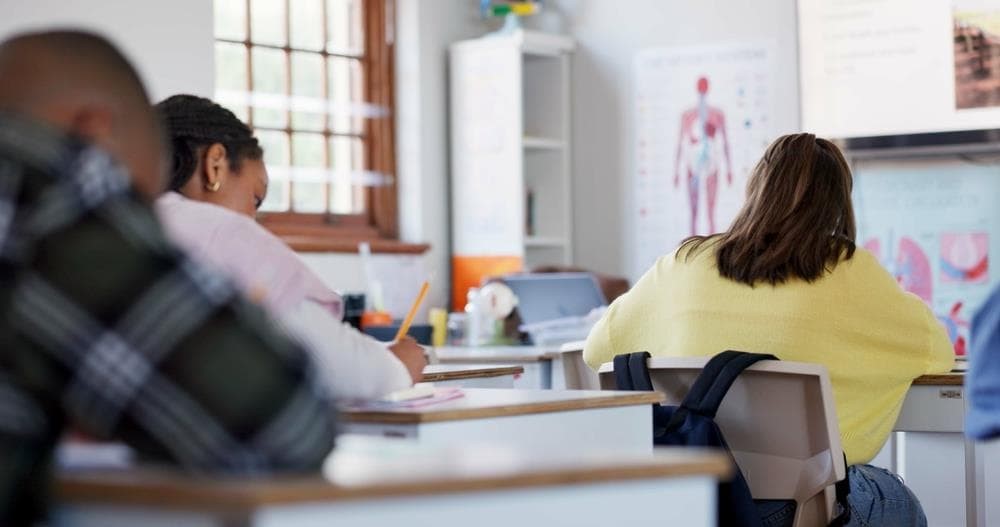 La importancia del refuerzo educativo: ¡un aprendizaje dinámico y personalizado!